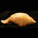 Serpentin-Figur-China-Kopie-von-Antikem-Vorbild-Fisch