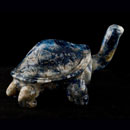 Schildkröte-Lapis-03