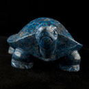 Schildkröte-Lapis-08