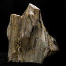 Versteinertes-Holz-Dekorstein-01 Versteinertes-Holz-Dekorstein-01