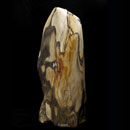 Versteinertes-Holz-Dekorstein-02 Versteinertes-Holz-Dekorstein-02