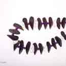Design-Kette-Holz-Bergkristall-Amethyst-02 Design-Kette-Holz-Bergkristall-Amethyst-02
